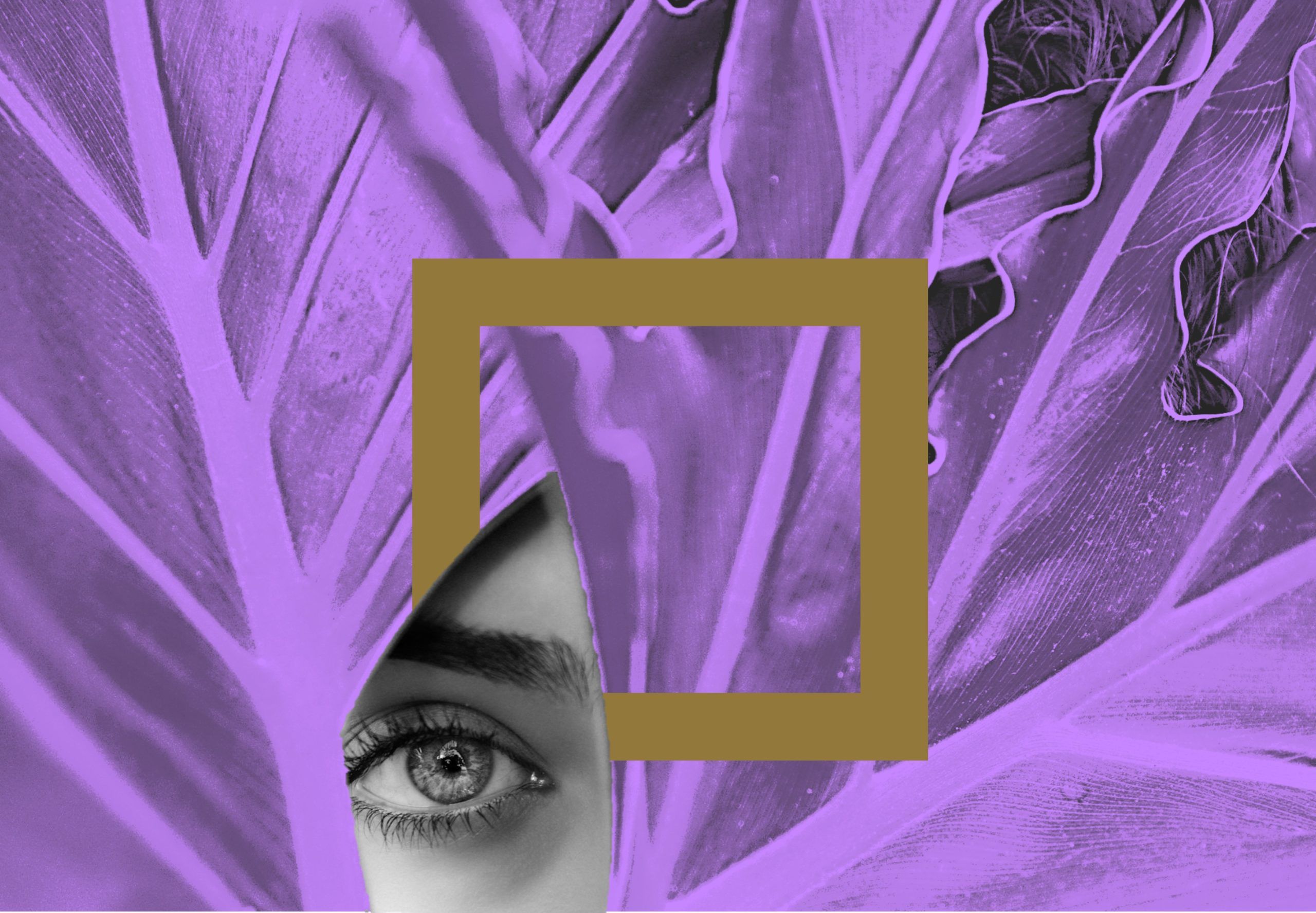 BRP SA REGORA Training - Data Protection and Privacy - Calendar 2024