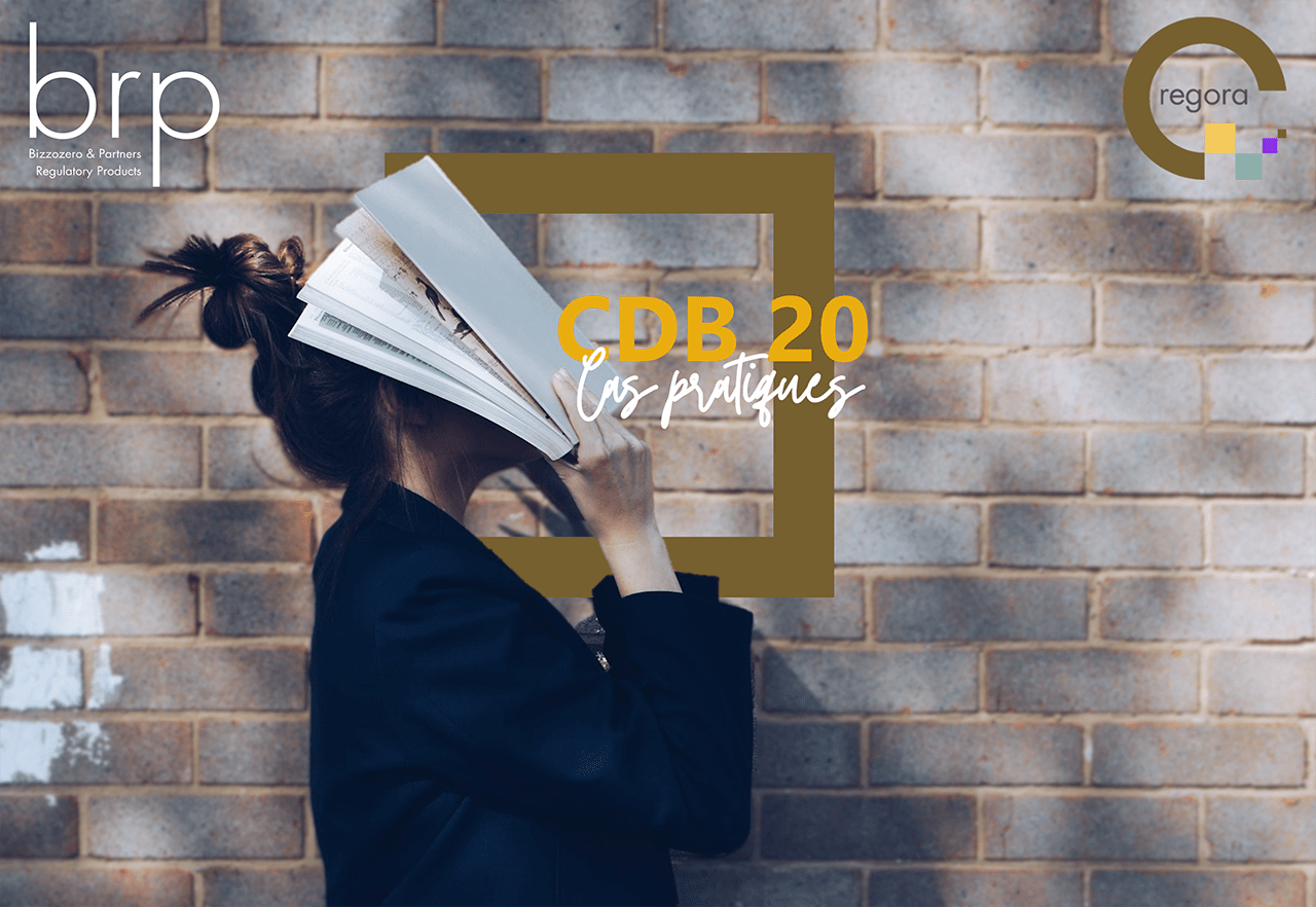 BRP SA - 2025.02.26_CDB20 Cas pratiques