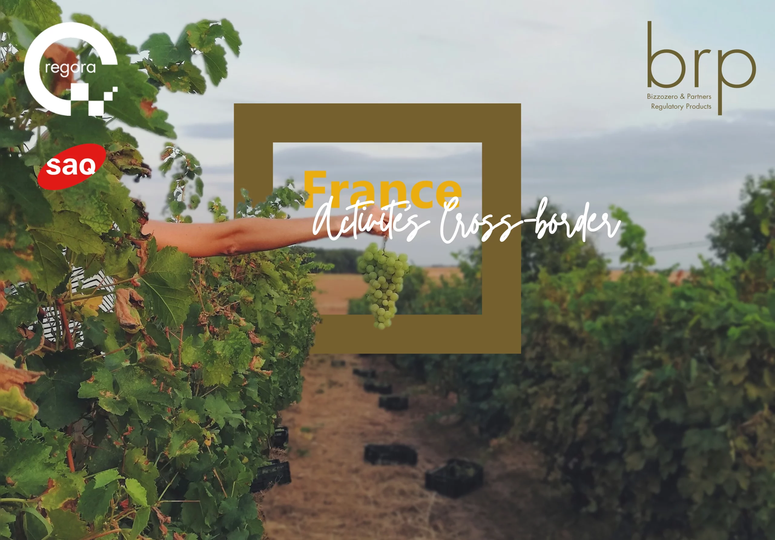 2025.04.08_France Activités Cross-border