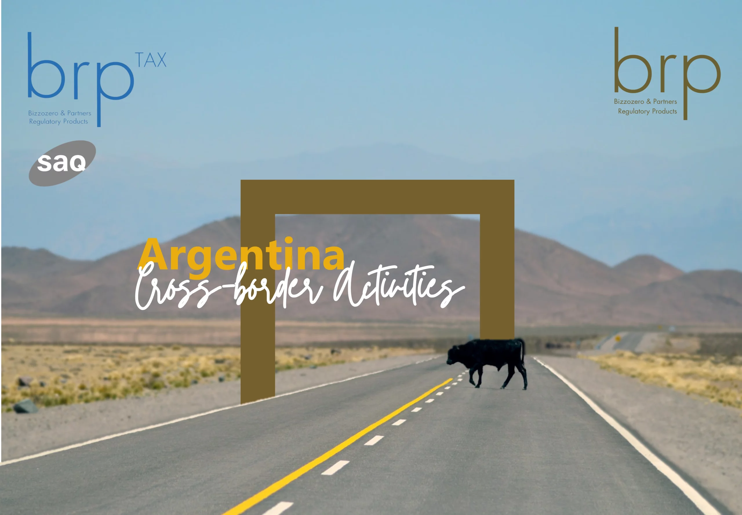 2025.04.15_Argentina Cross-border Activities