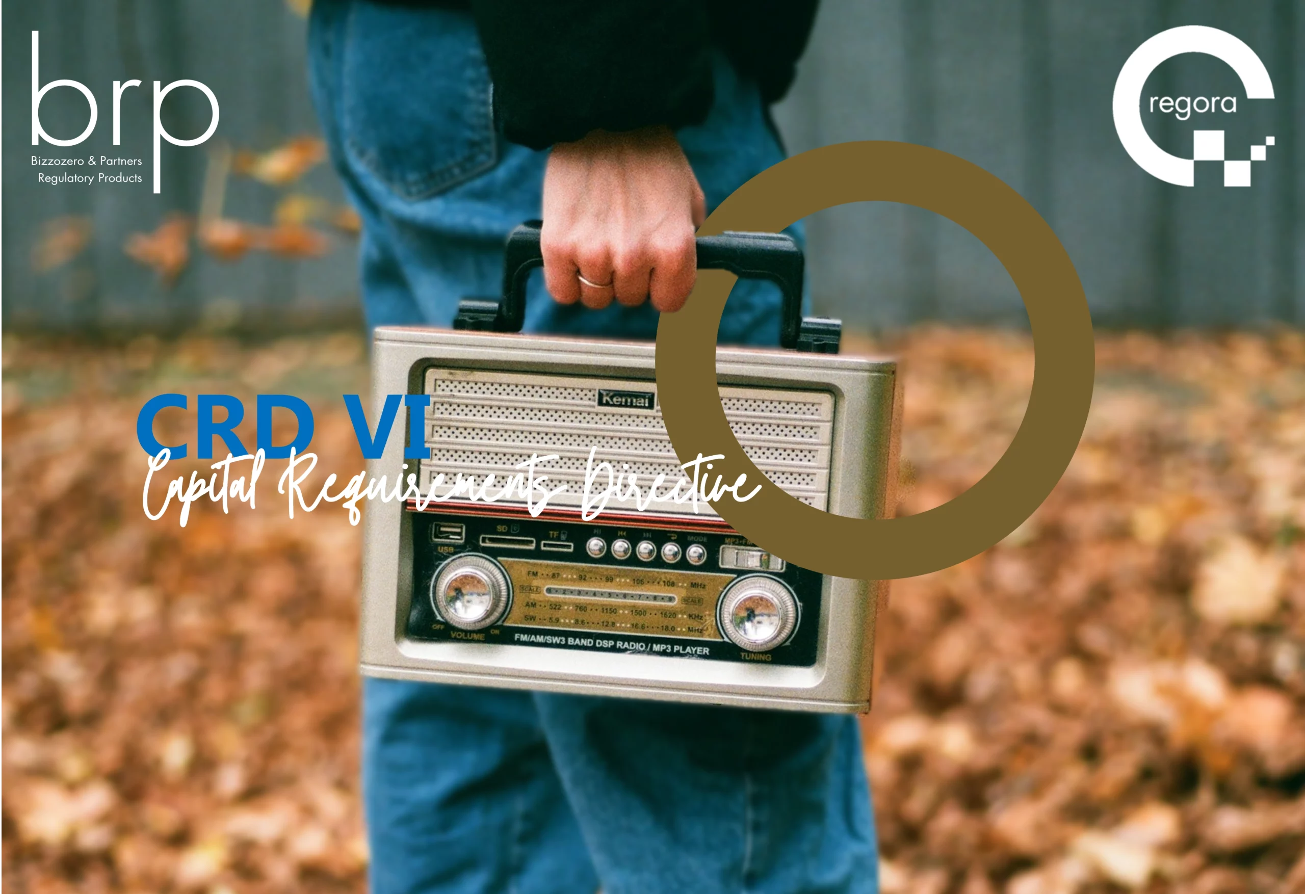 BRP SA - 2025.05.07_CRD VI